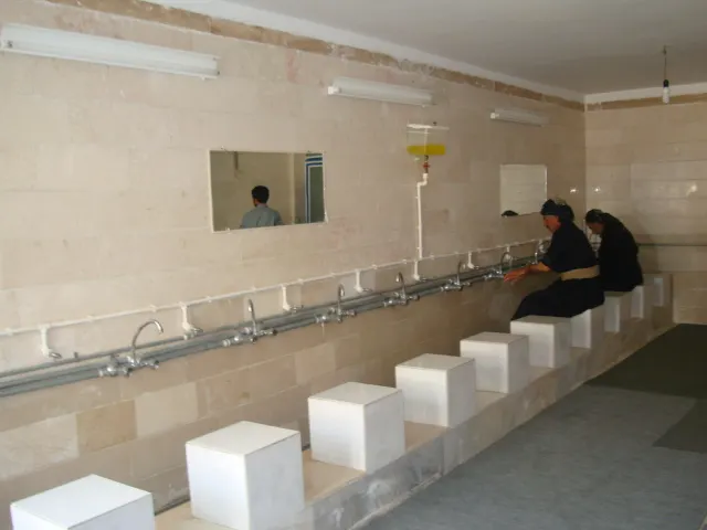 project image 3